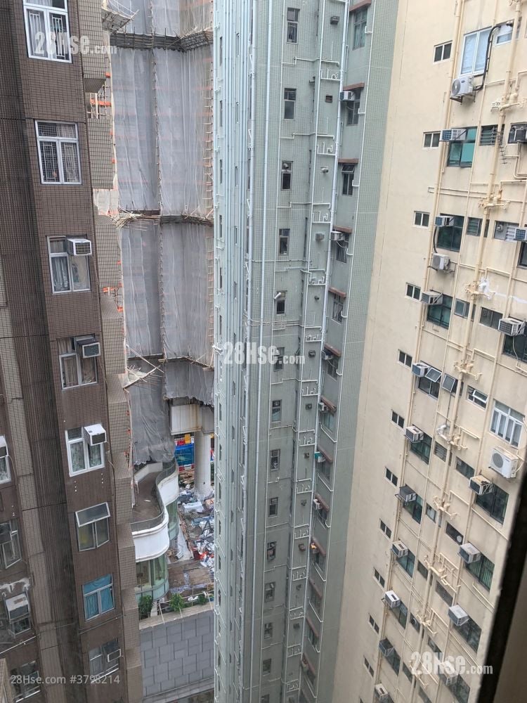 Ka Wai Building Sell 1 Bedroom 282 ft²