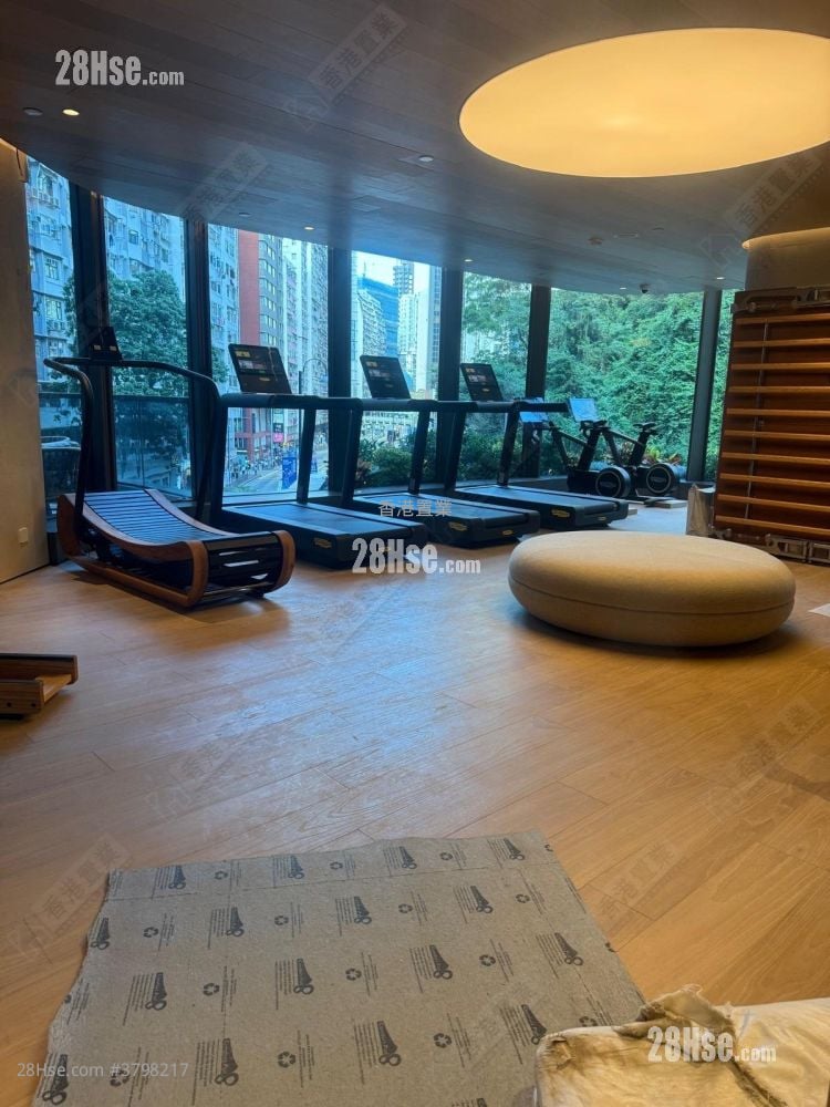 101 Kings Road 租盘 1 房 , 1 浴室 310 平方尺