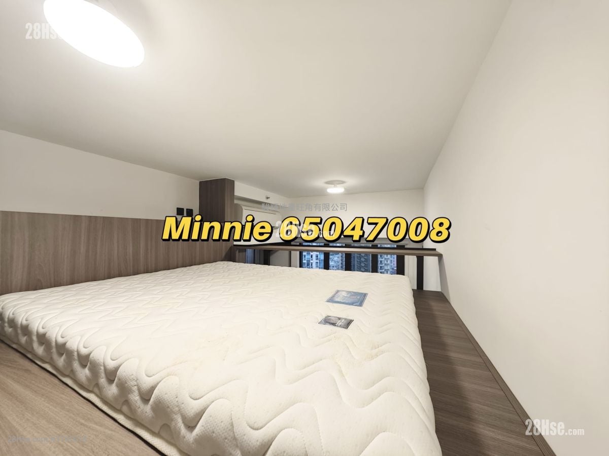 Larchwood 租盘 开放式间隔 , 1 浴室 210 平方尺