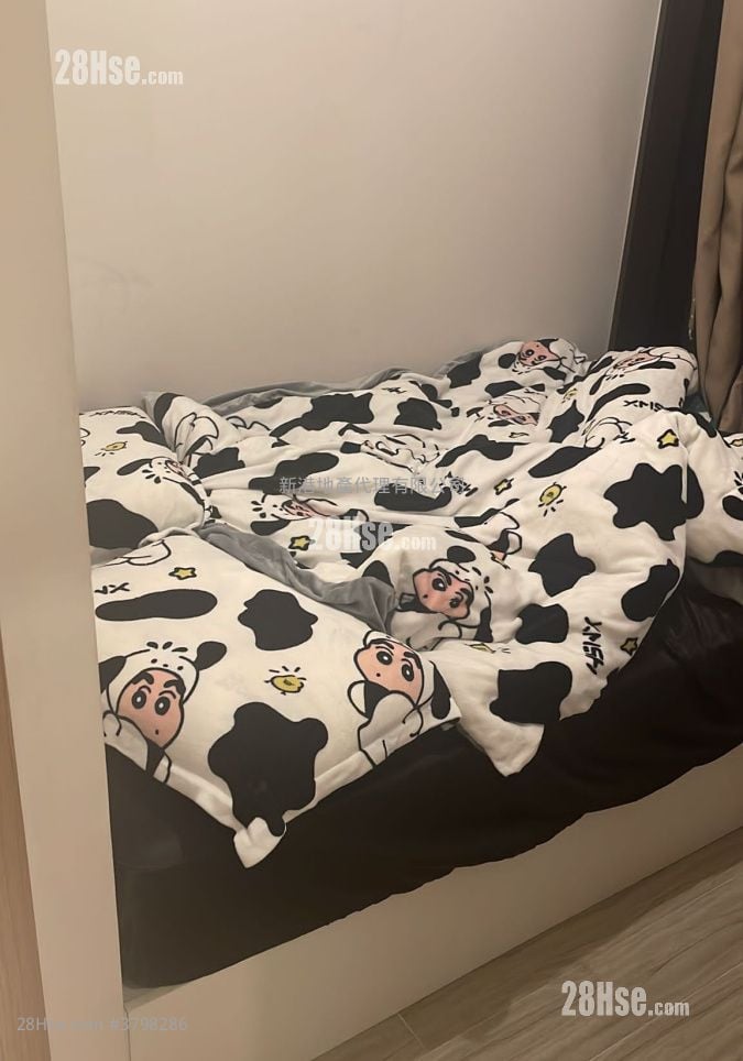 启岸 租盘 1 房 , 1 浴室 270 平方尺