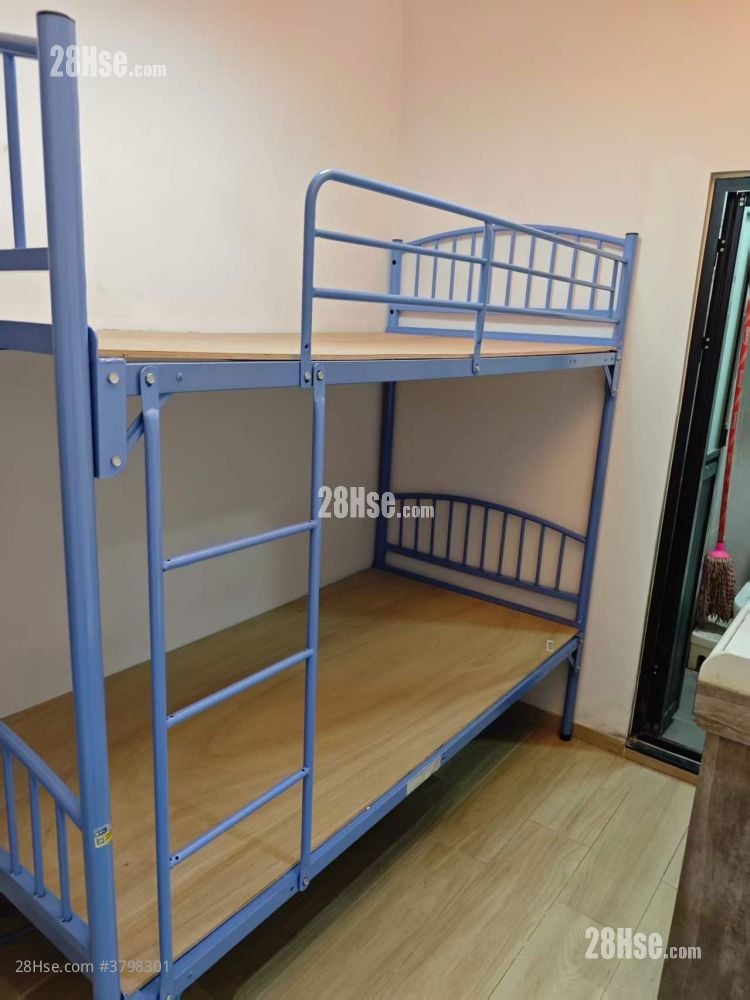 鴨寮街206號 租盤 100 平方呎