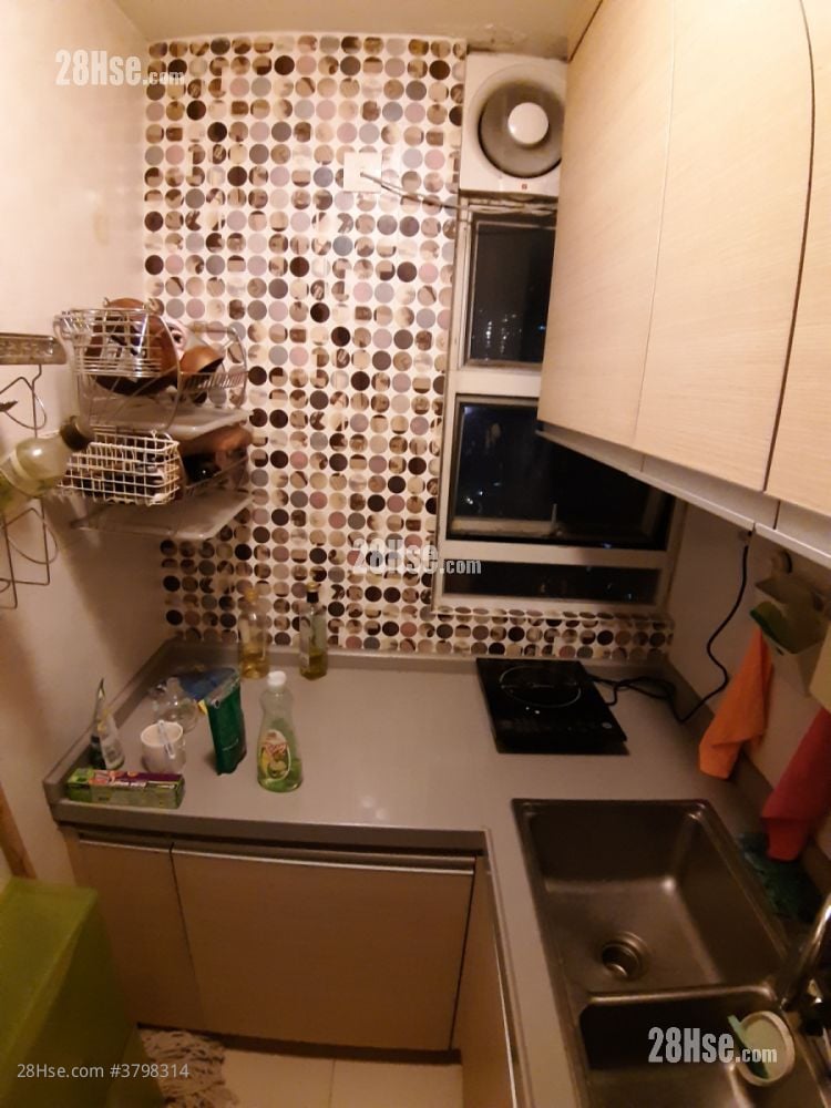 显径邨 租盘 3 房 , 1 浴室 490 平方尺