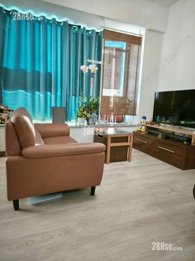 Helene Terrace Rental 3 Bedrooms , 2 Bathrooms 847 ft²