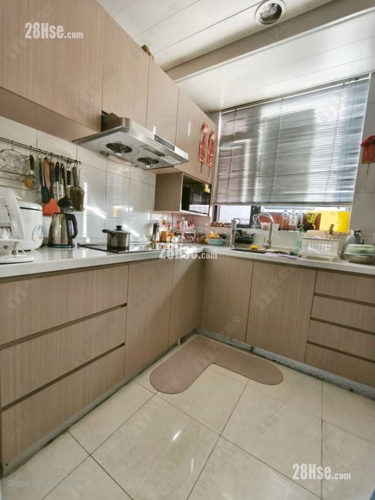 Helene Terrace Rental 3 Bedrooms , 2 Bathrooms 847 ft²