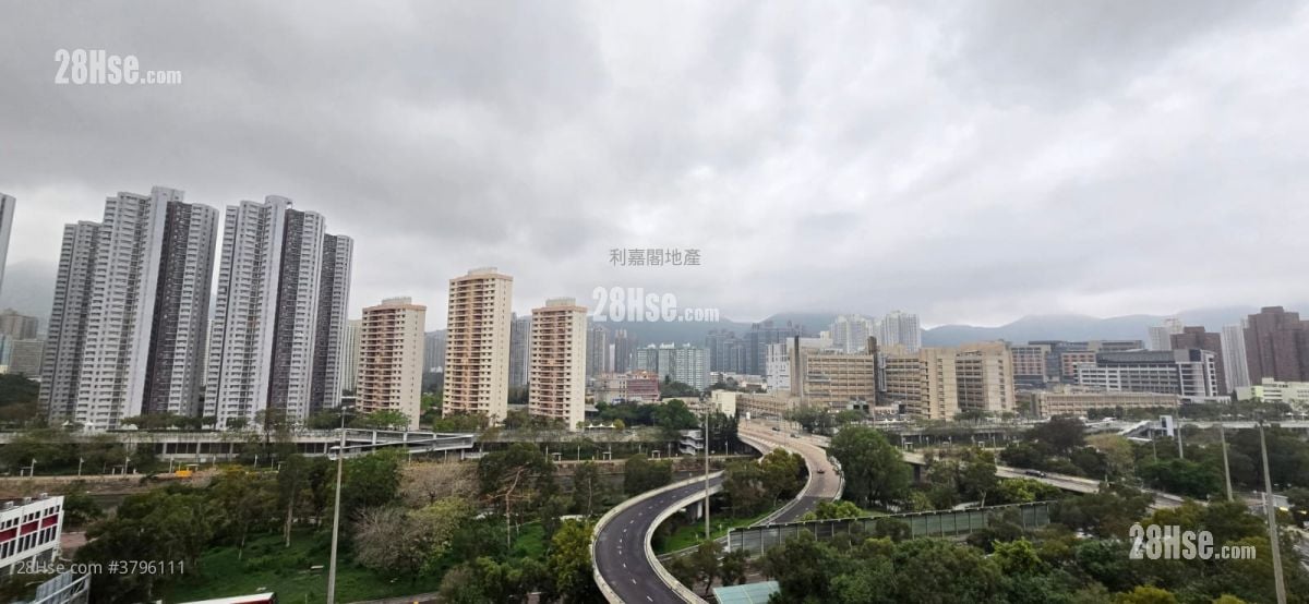 T Plus Rental Studio , 1 Bathroom 164 ft²