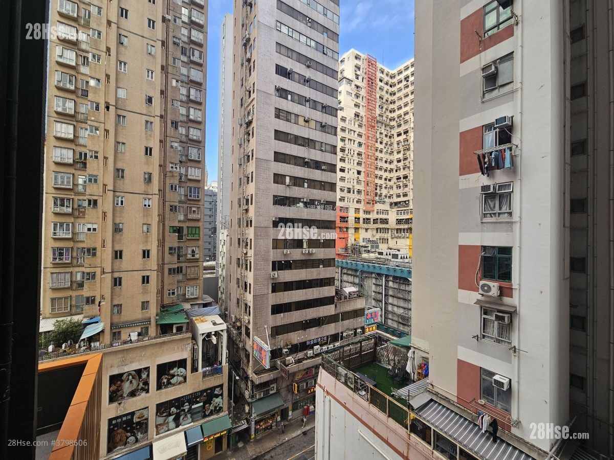 Bright Moon Rental 1 Bedroom , 1 Bathroom 284 ft²