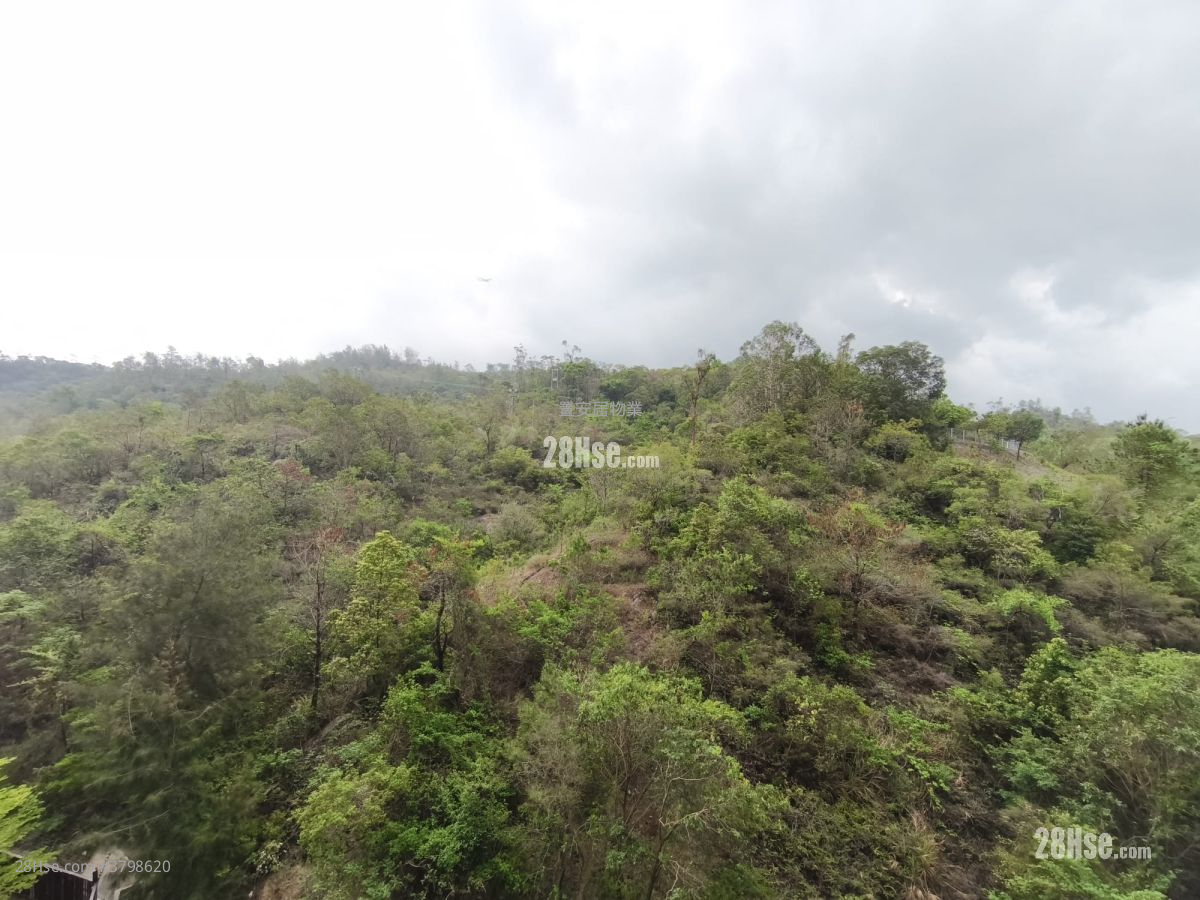 上源 售盘 3 房 , 2 浴室 755 平方尺