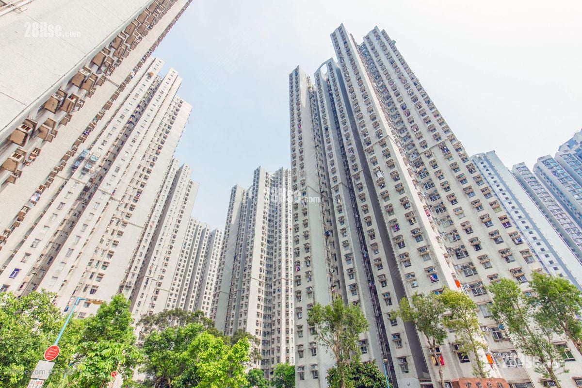 富宁花园 售盘 2 房 , 1 浴室 452 平方尺