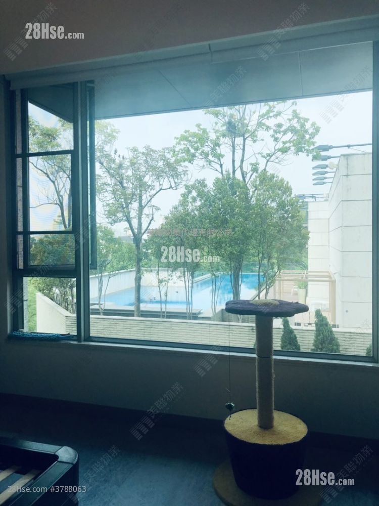 柏峦第一期 售盘 5+ 房 , 4 浴室 3,484 平方尺