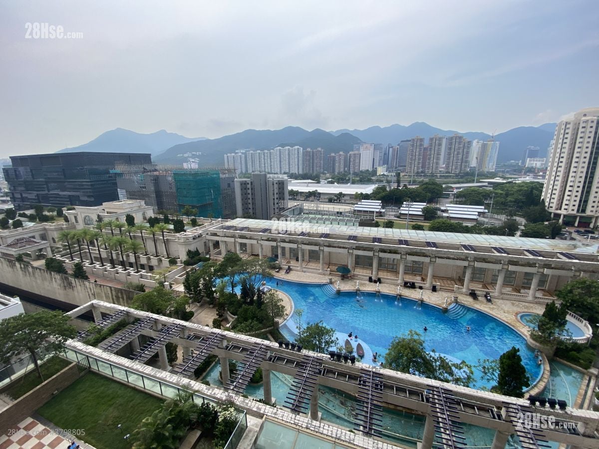 御龙山 租盘 4 房 , 3 浴室 1,254 平方尺