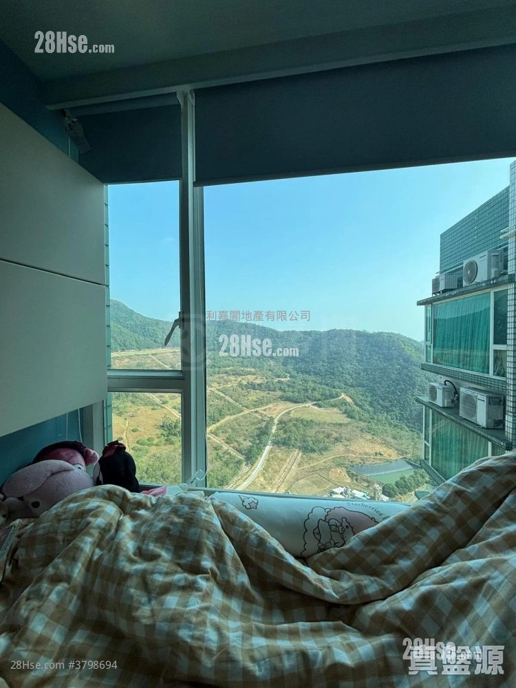 领都 售盘 4 房 976 平方尺