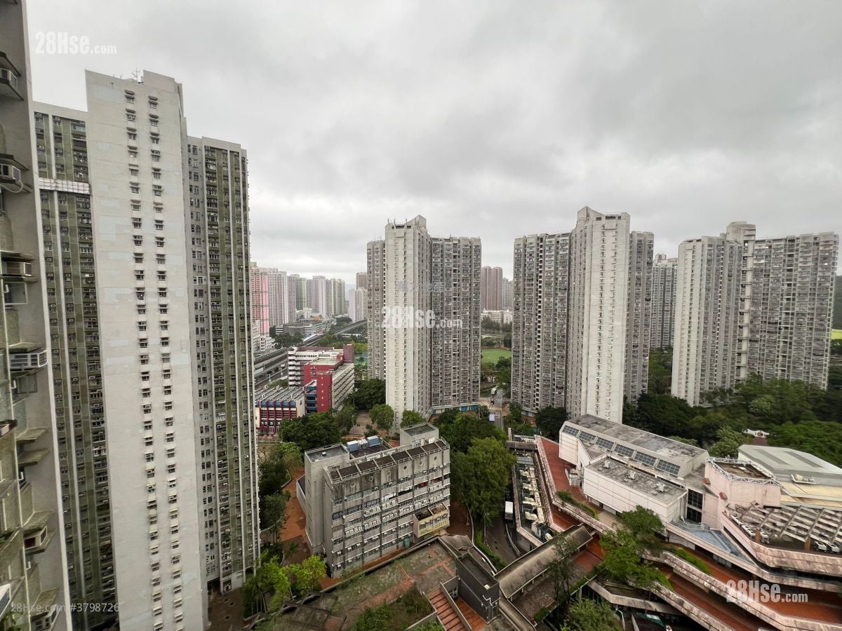 锦鞍苑 售盘 3 房 , 1 浴室 554 平方尺