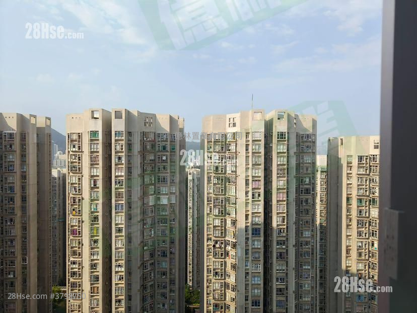 启田大厦 租盘 2 房 , 1 浴室 469 平方尺