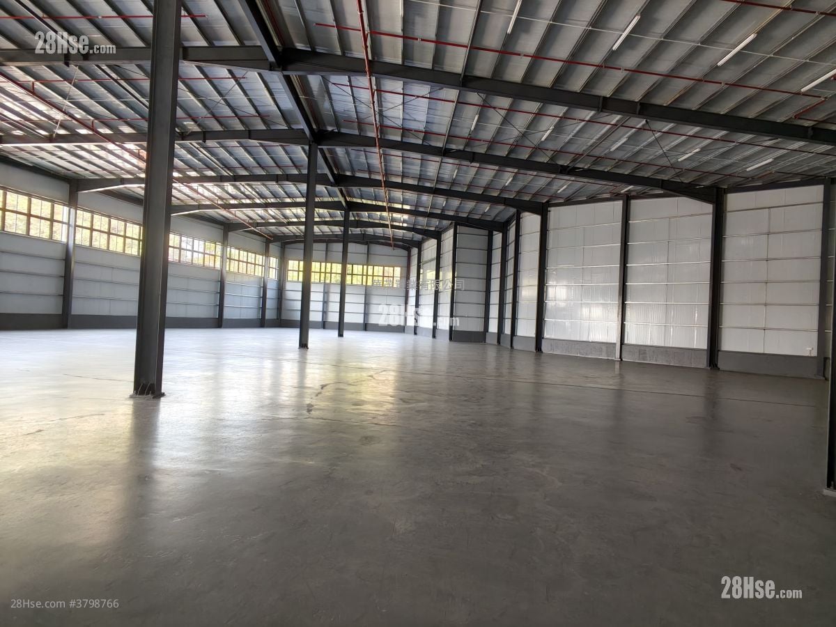 土地 租盘 36,000 平方尺