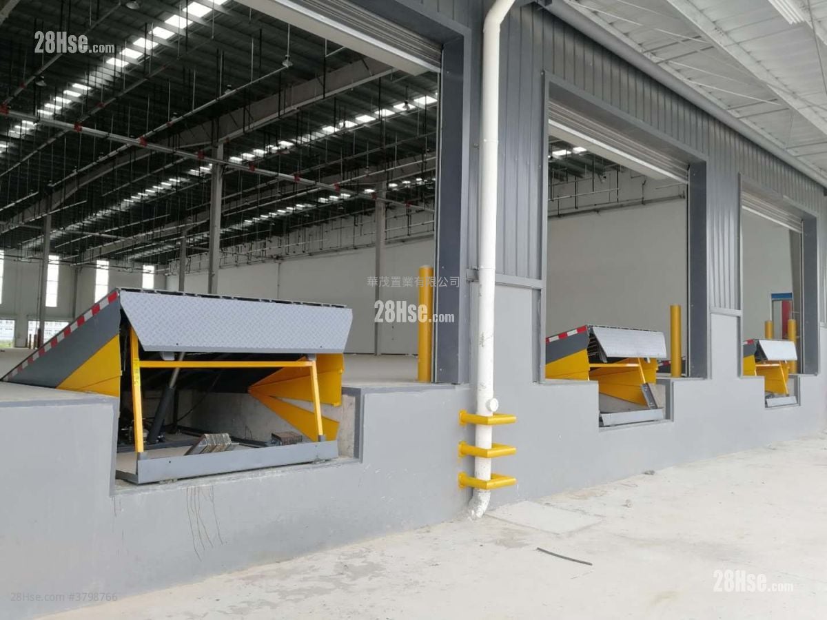 土地 租盘 36,000 平方尺