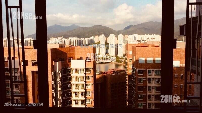 Hilton Plaza Sell 1 Bedroom , 1 Bathroom 283 ft²