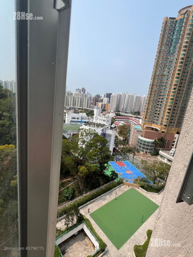 新丽花园 售盘 386 平方尺