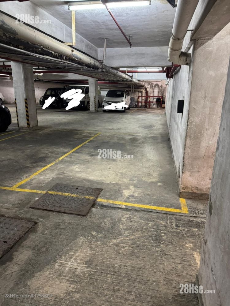 Tai Hing Gardens Rental