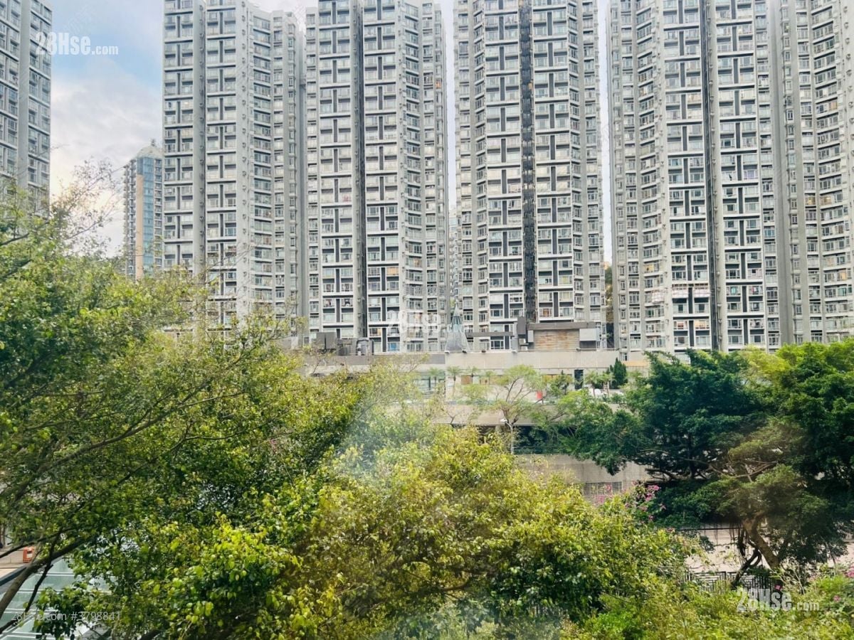 丽港城 售盘 3 房 687 平方尺