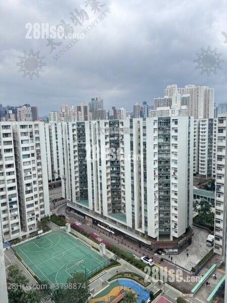 黄埔花园 售盘 3 房 714 平方尺