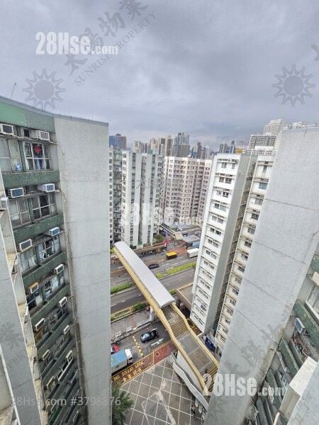 黄埔花园 售盘 1 房 288 平方尺