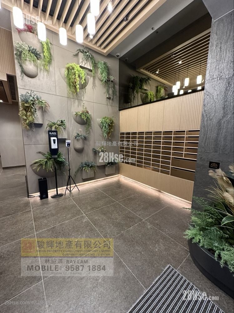 芳菲 租盘 2 房 , 1 浴室 465 平方尺