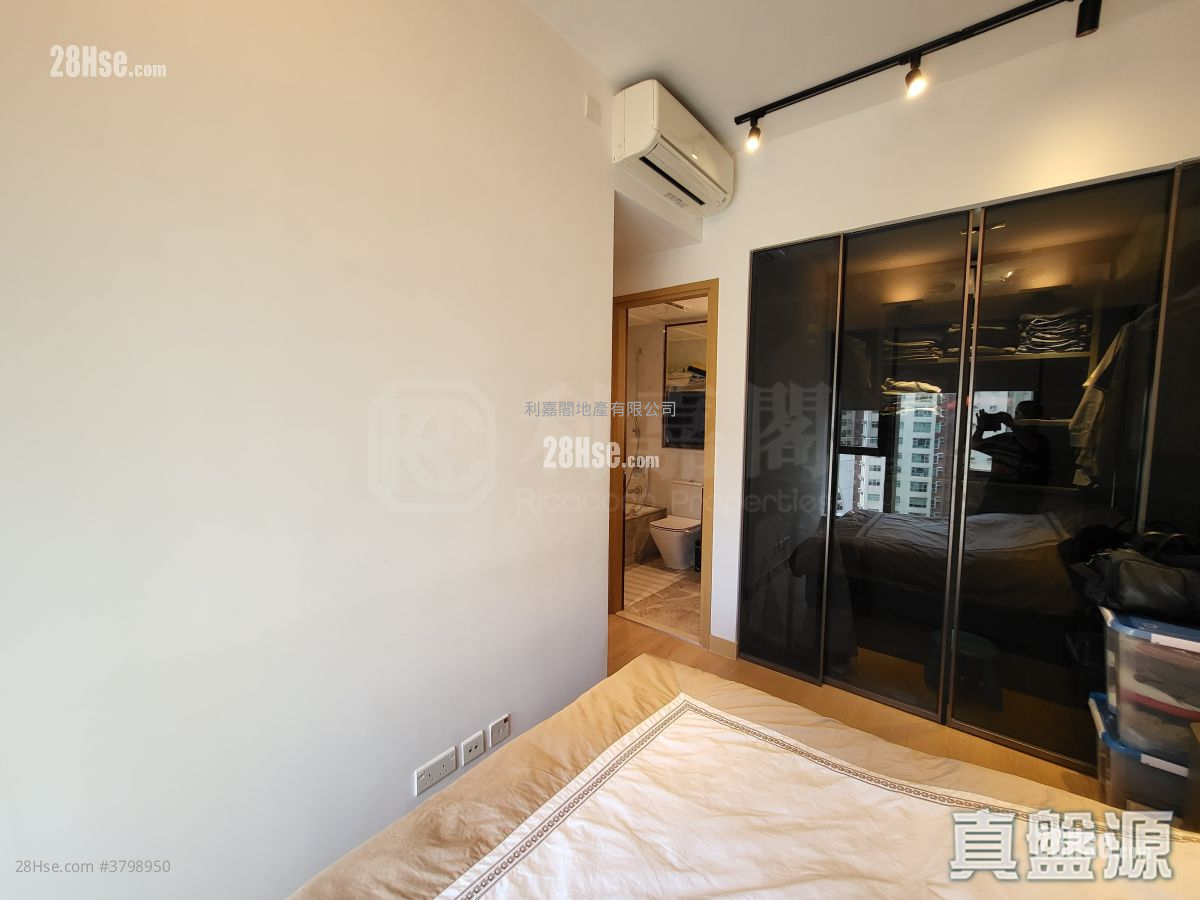 歡迎參觀找我，61618223，Ivan