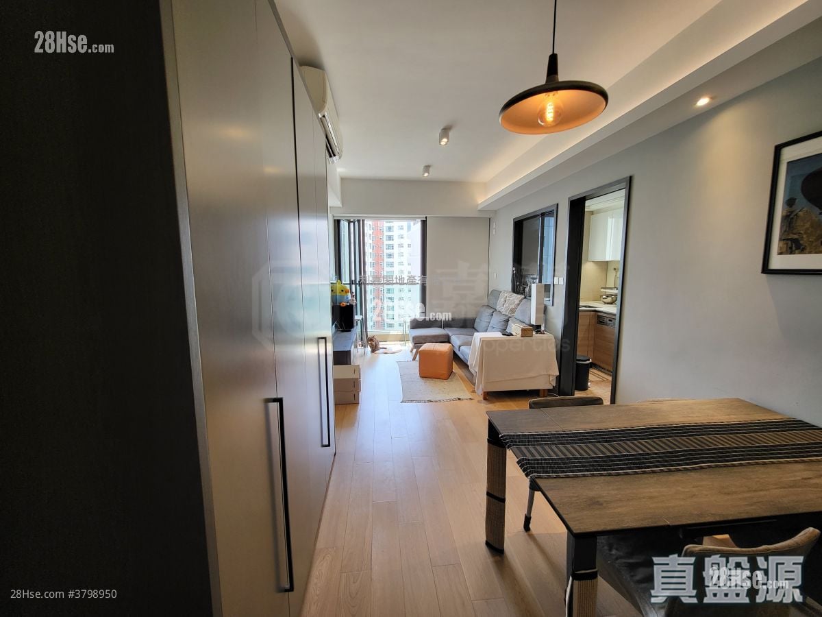 歡迎參觀找我，61618223，Ivan