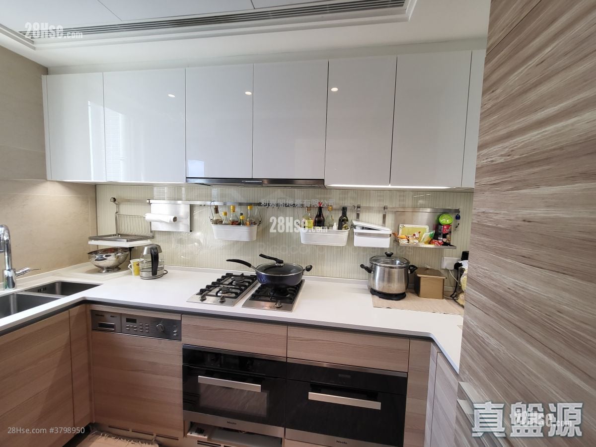 歡迎參觀找我，61618223，Ivan