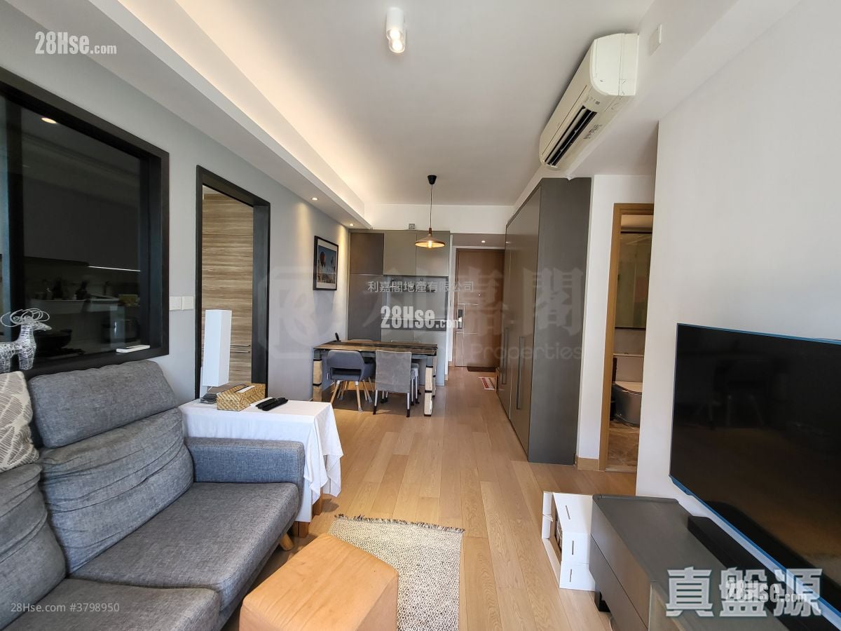 歡迎參觀找我，61618223，Ivan