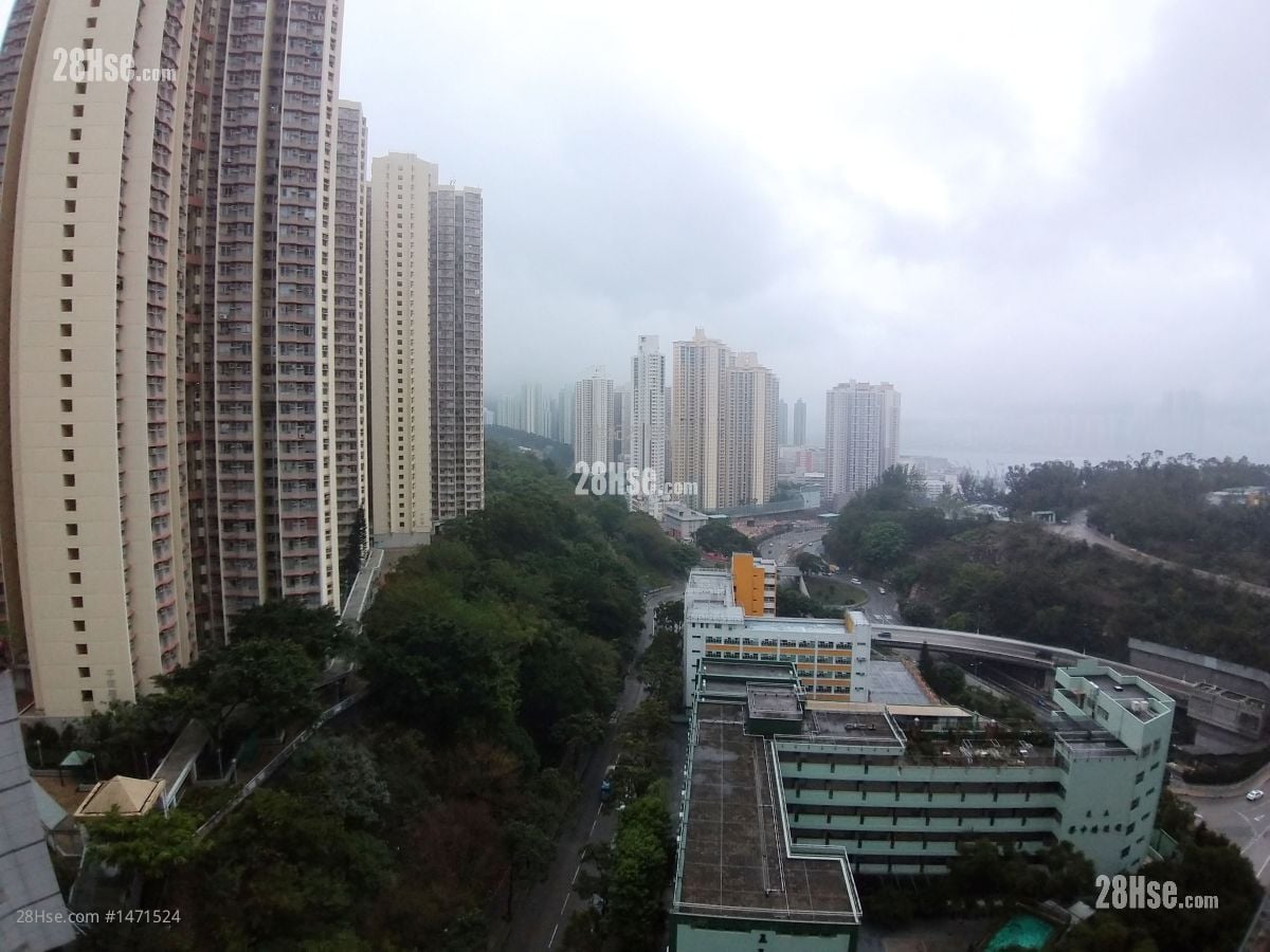 康田苑 售盘 3 房 , 1 浴室 531 平方尺