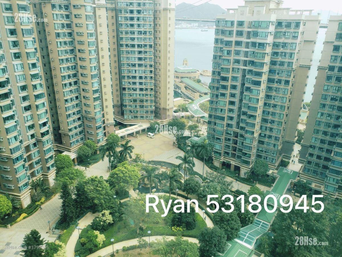 珀丽湾 租盘 499 平方尺