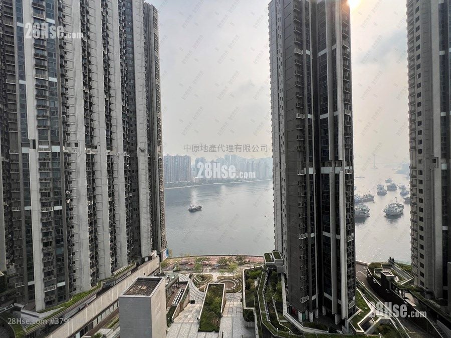 Ocean Pride Rental 1 Bedroom , 1 Bathroom 391 ft²