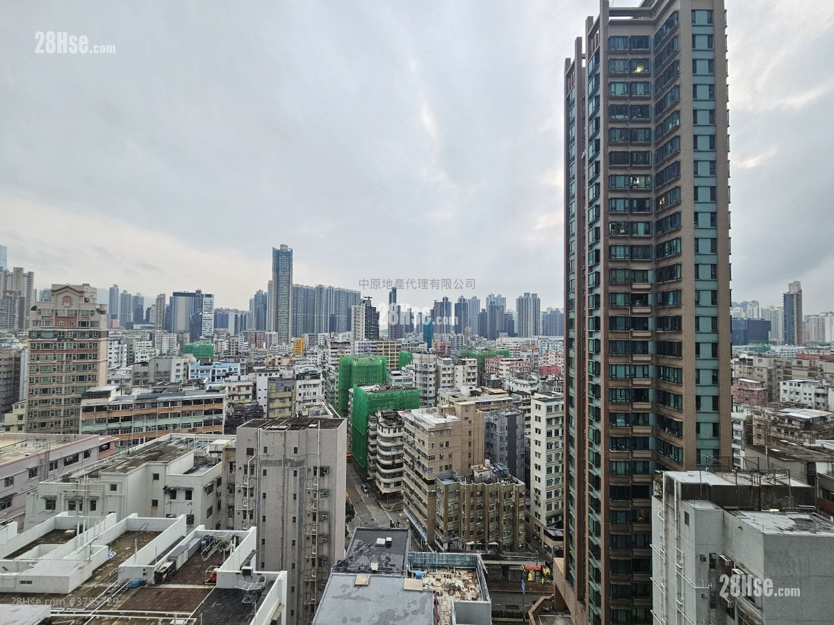 The Paddington Rental 2 Bedrooms , 1 Bathroom 365 ft²