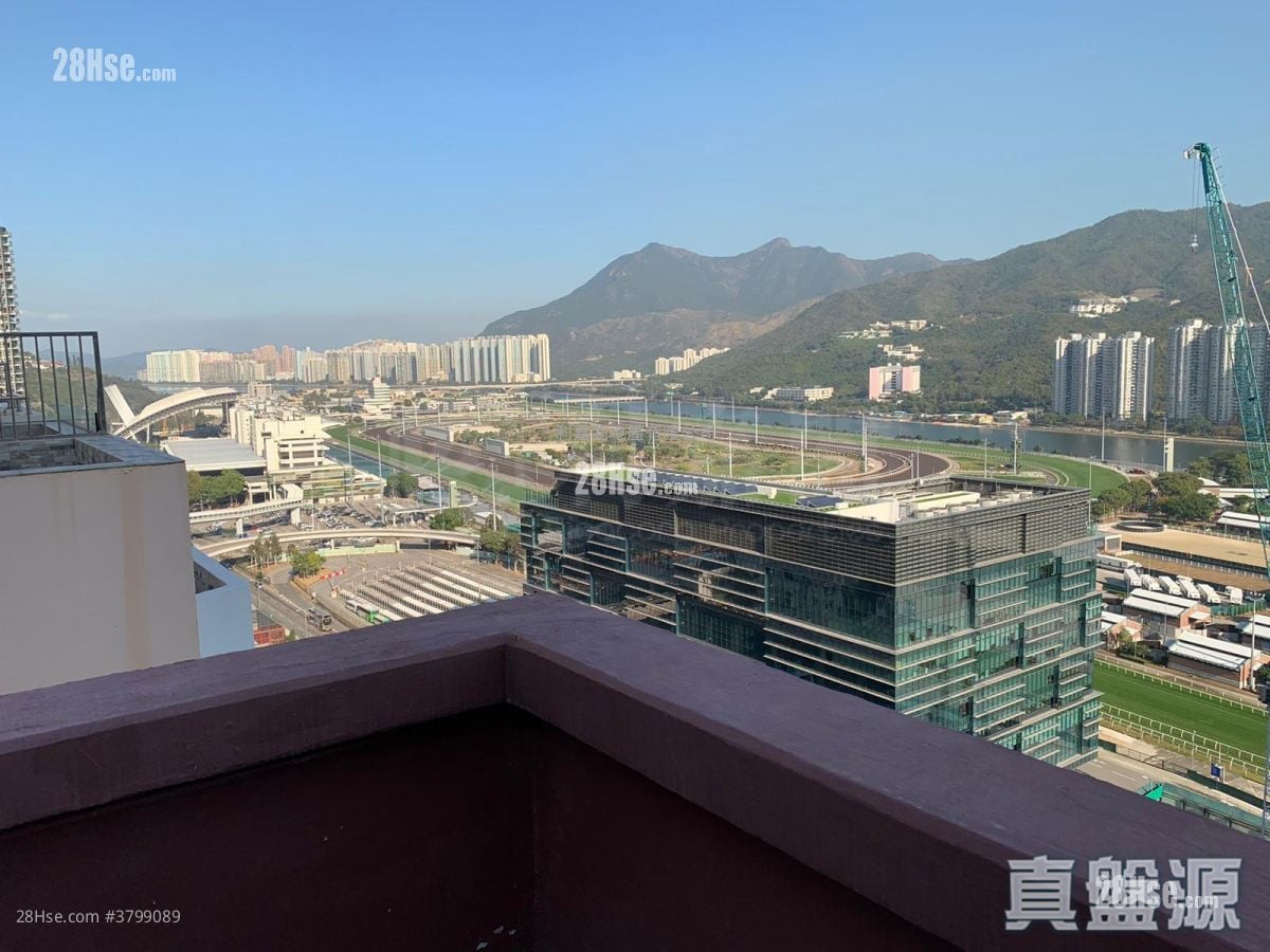 银禧花园 租盘 3 房 , 1 浴室 665 平方尺