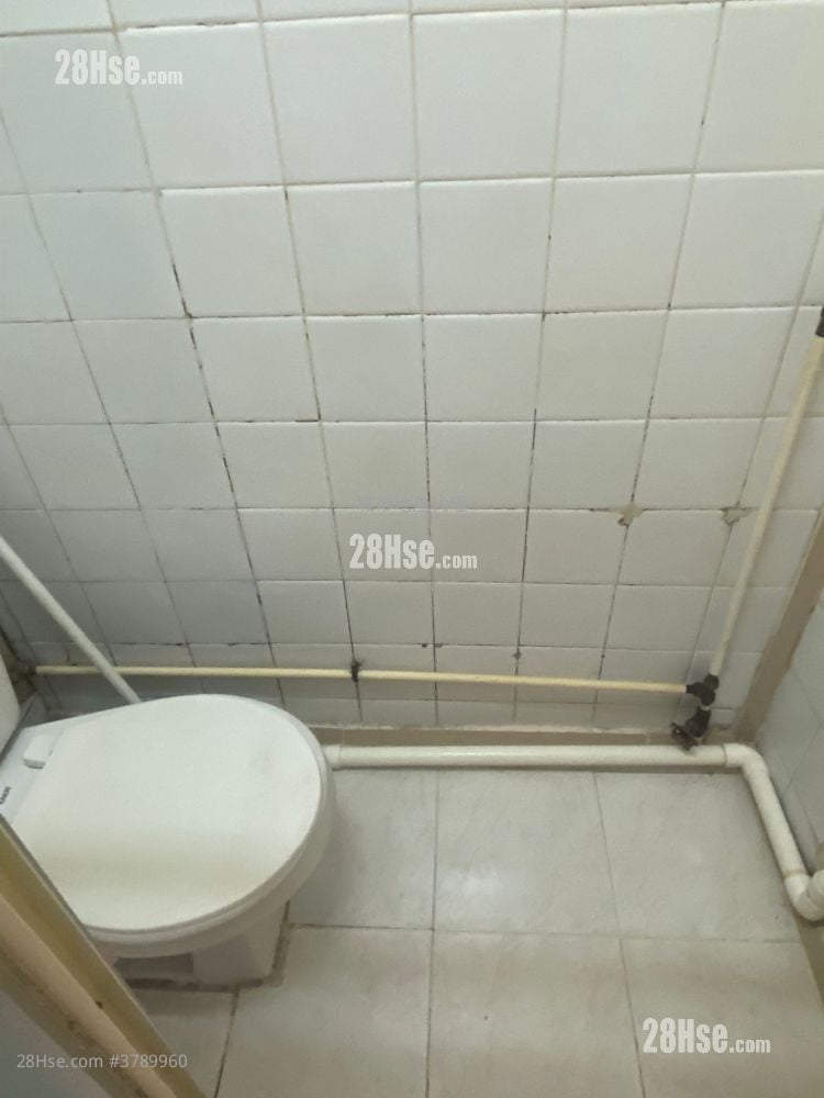 Toa Tak Building Rental Studio , 1 Bathroom 150 ft²