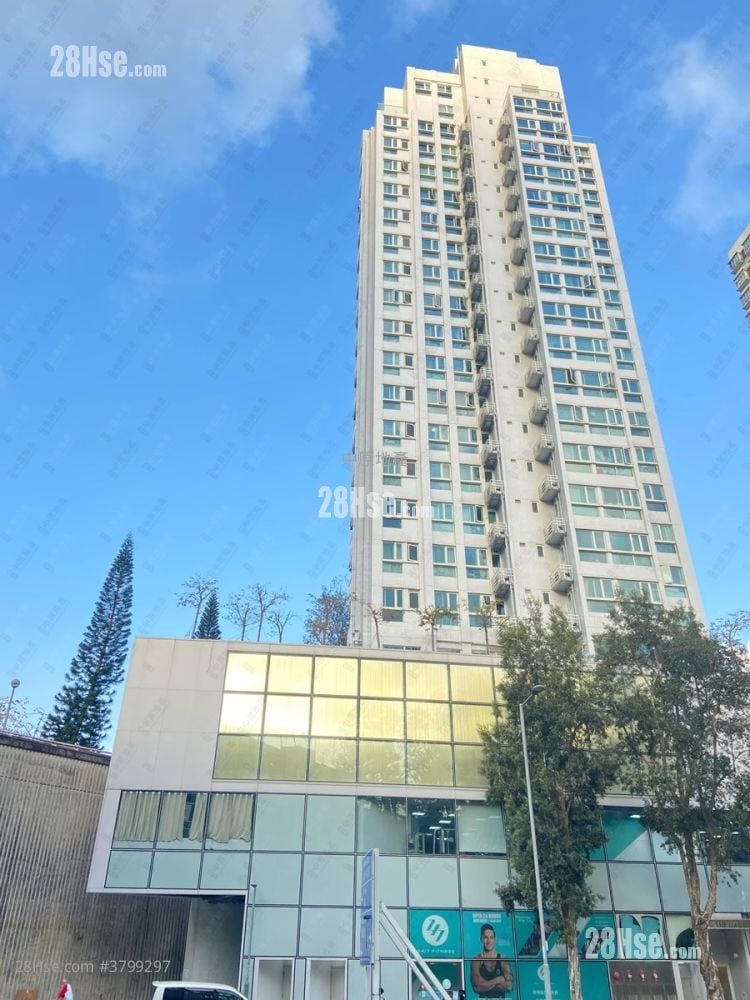 珀玥 租盘 1 房 , 1 浴室 262 平方尺