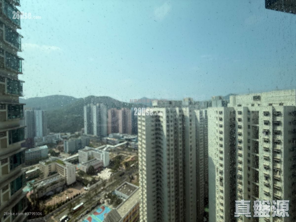 将军澳广场 售盘 3 房 502 平方尺