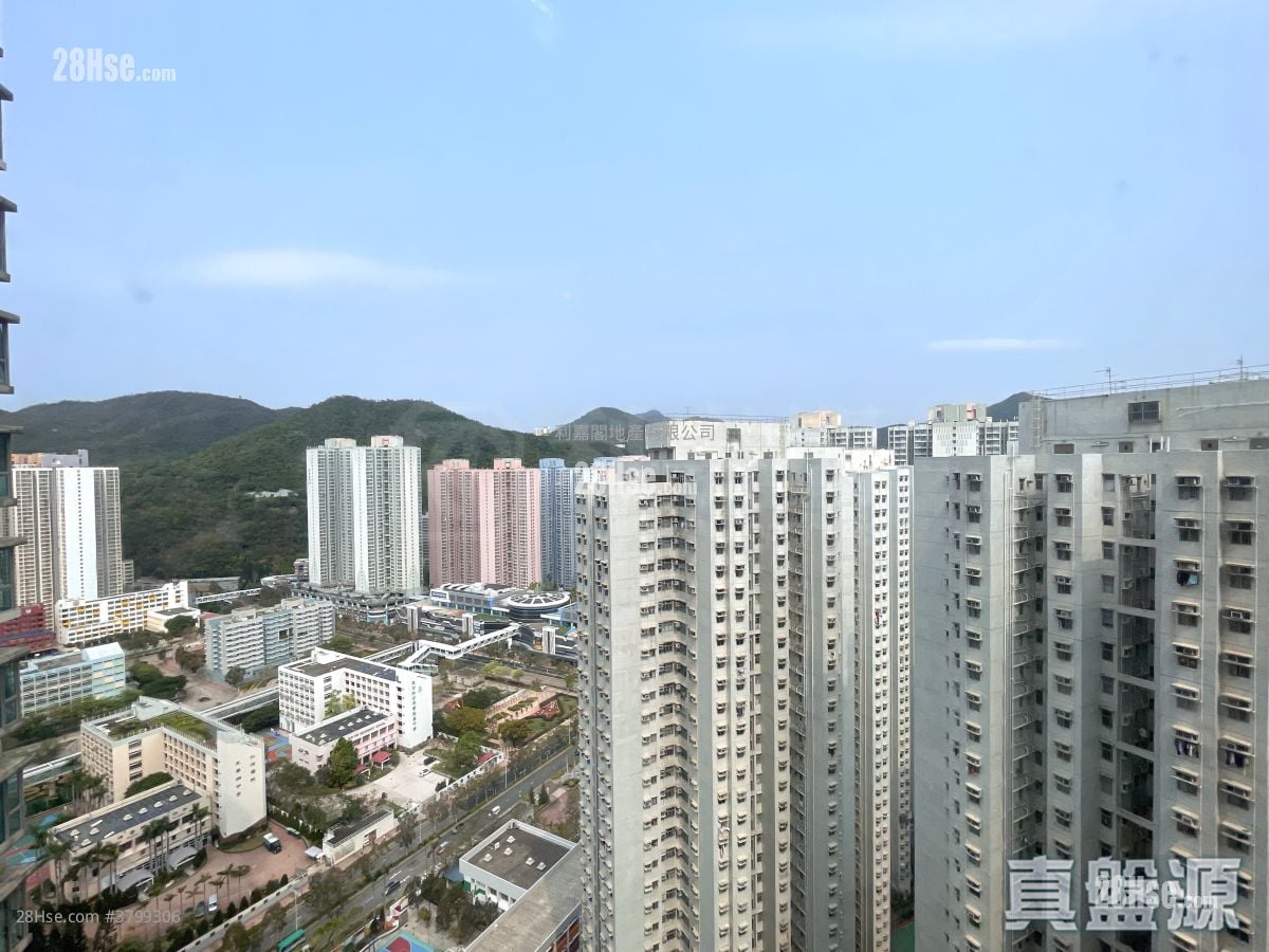 将军澳广场 售盘 3 房 502 平方尺