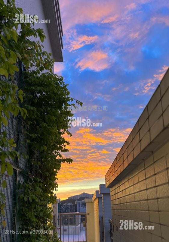 Madison Park Sell Studio , 1 Bathroom 438 ft²