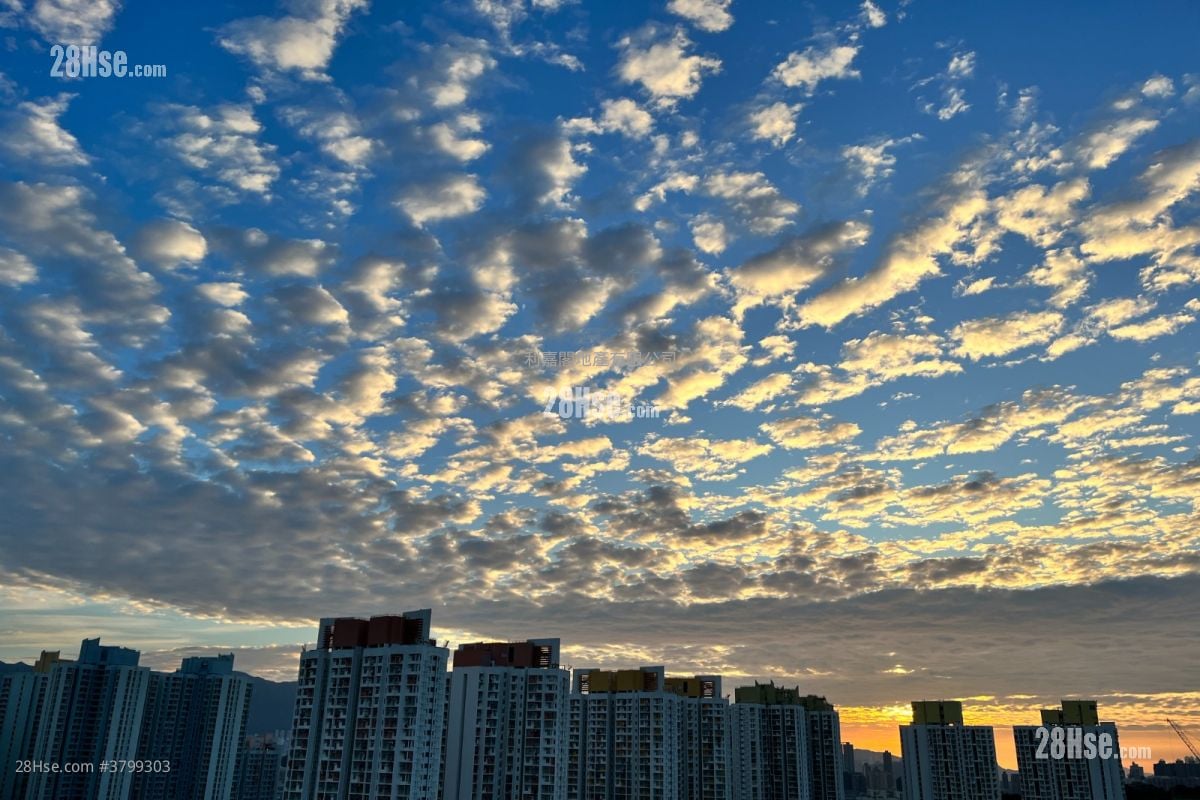 Madison Park Sell Studio , 1 Bathroom 438 ft²