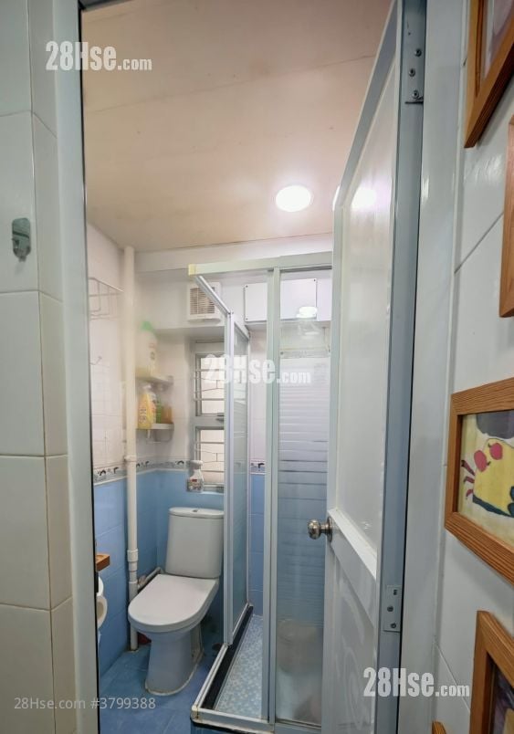 汀雅苑 售盘 3 房 495 平方尺