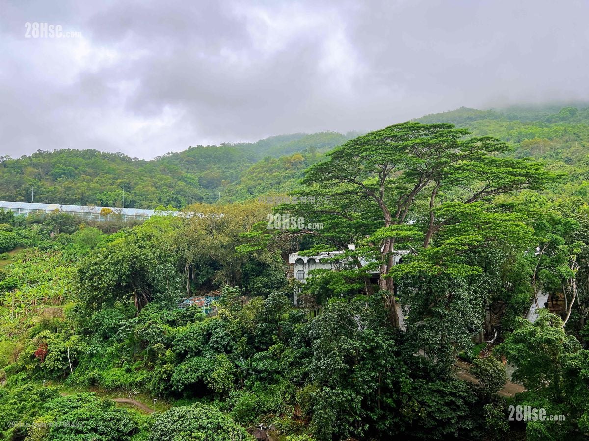 恆麗園 售盤 2 房 , 1 浴室 485 平方呎
