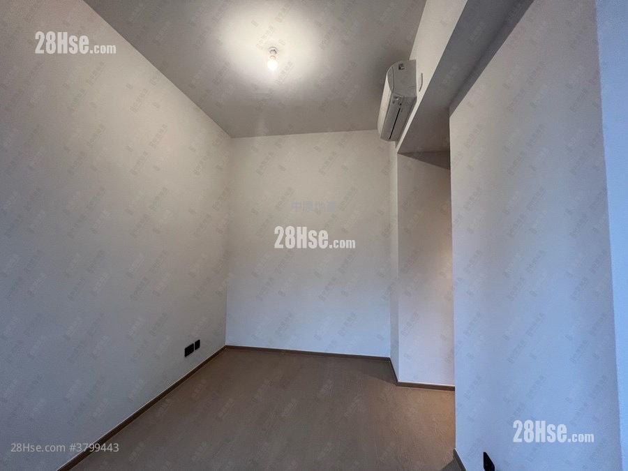 In One Rental 482 ft²