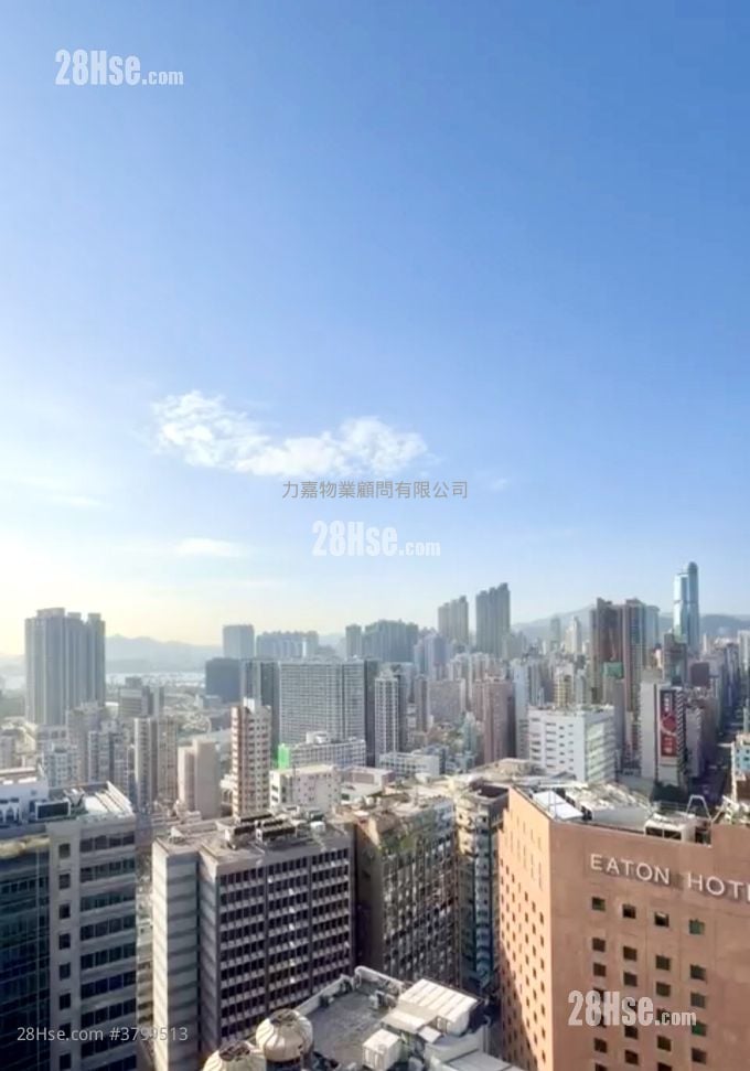 Topside Residence Rental 1 Bedroom , 1 Bathroom 272 ft²