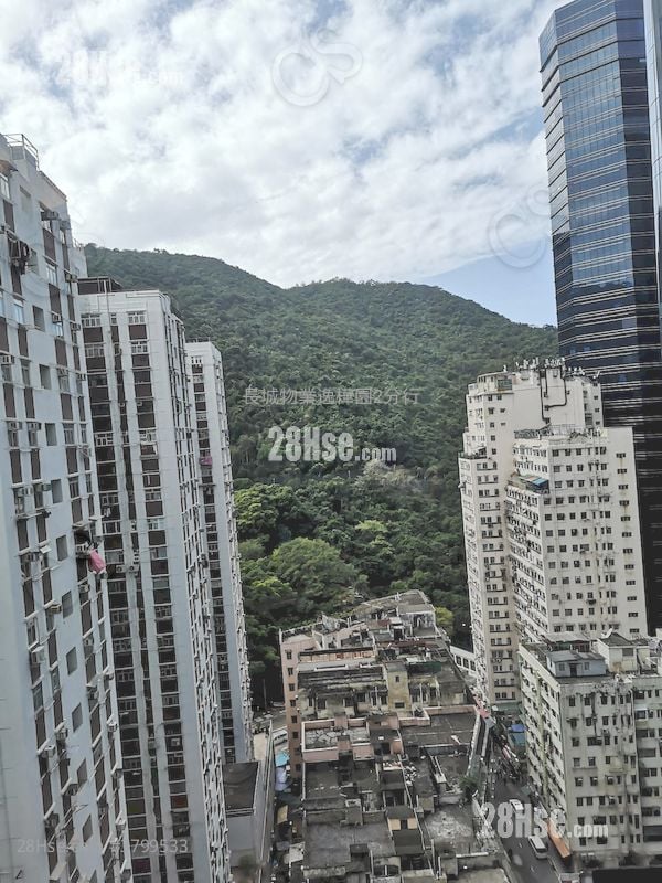 华兰花园 租盘 1 房 , 1 浴室 398 平方尺