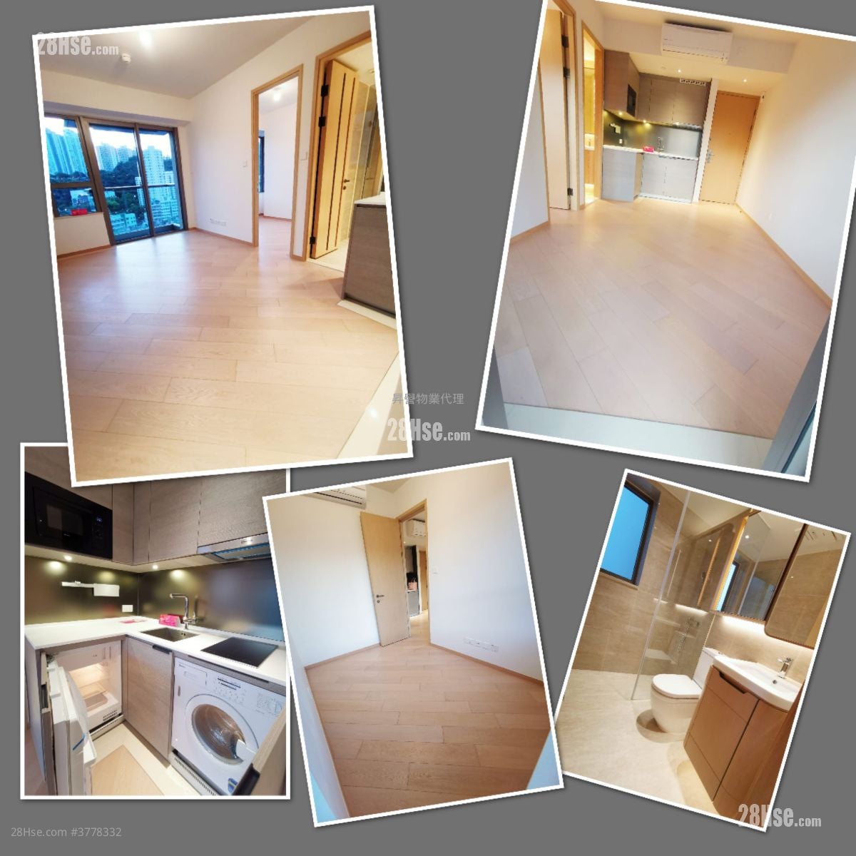 环海东岸 租盘 1 房 312 平方尺