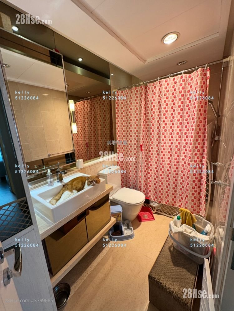 葡萄园 售盘 3 房 , 4 浴室 1,998 平方尺