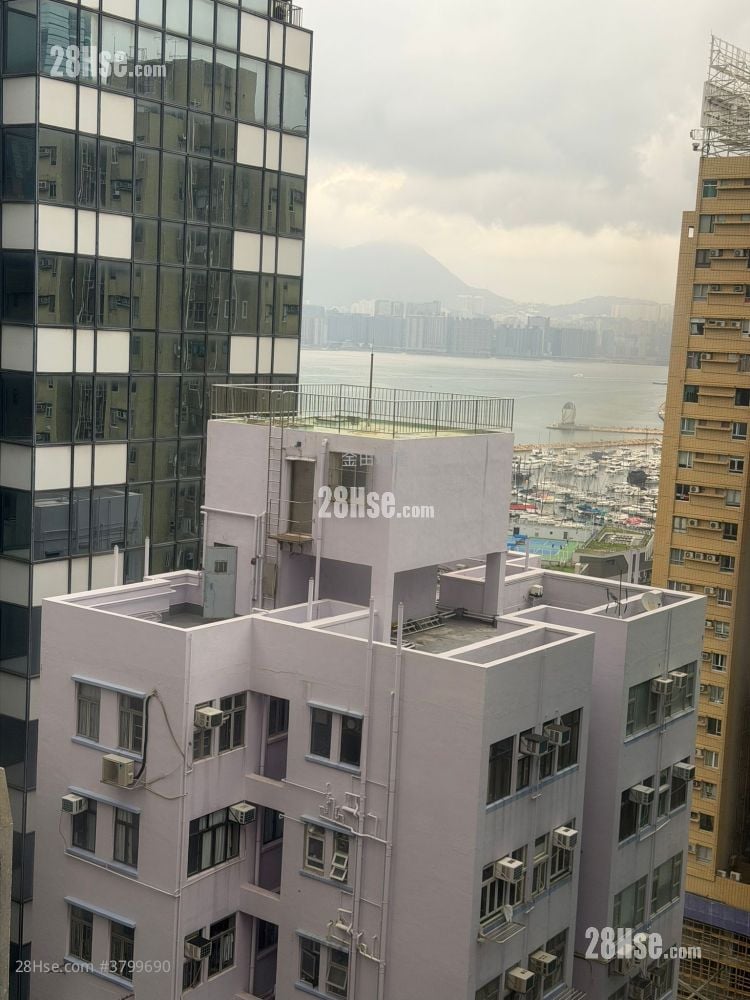 Workingfield Commercial Building Rental 1 Bedroom , 1 Toilet