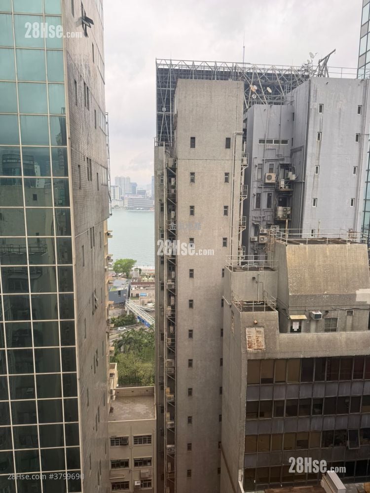 Workingfield Commercial Building Rental 1 Bedroom , 1 Toilet